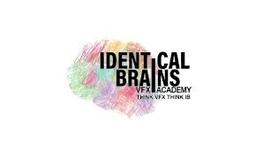 Identical Brains Studios Limited IPO  Logo