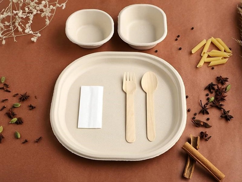 Sugarcane Bagasse Products